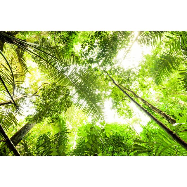 Light In The Jungle by Lightkey - Wrapped Canvas Print 17 Stories Size: 20cm H x 30cm W x 3.8cm D on Productcaster.