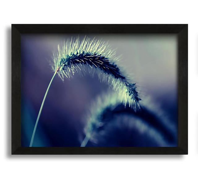 Spikelets Macro - Picture Frame Graphic Art on Canvas Ebern Designs on Productcaster.