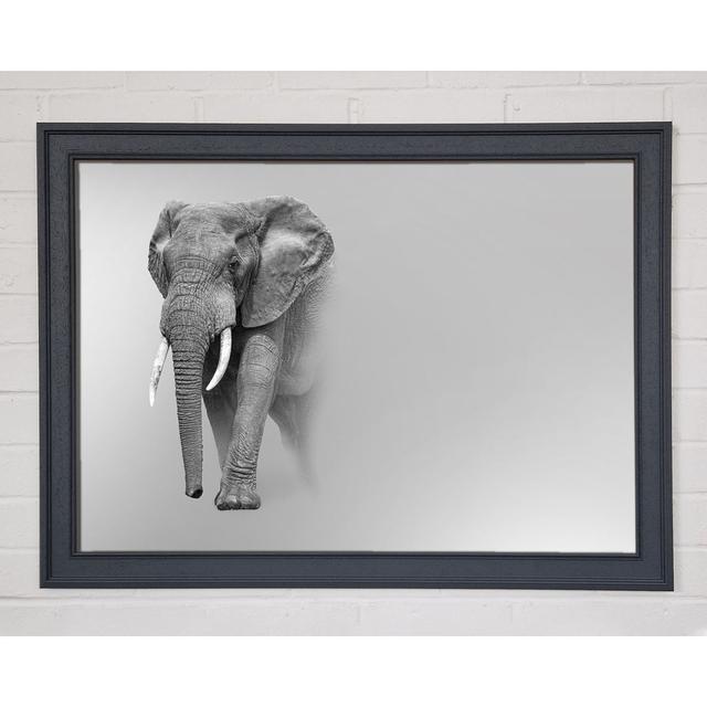 Single Picture Frame Art Prints Brayden Studio Size: 29.7cm H x 42cm W on Productcaster.