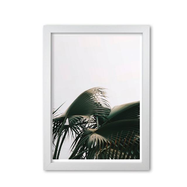 Bushy Palm Leaves - Print East Urban Home Format: White Grain Frame, Size: 85 cm H x 60 cm W x 5 cm D on Productcaster.