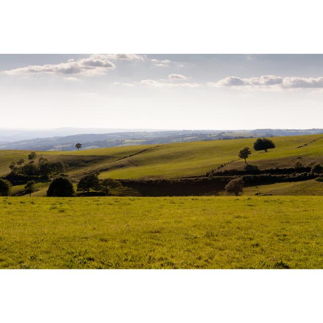 Aubrac in Aveyron - Wrapped Canvas Photograph Latitude Run Size: 51cm H x 76cm W x 3.8cm D on Productcaster.