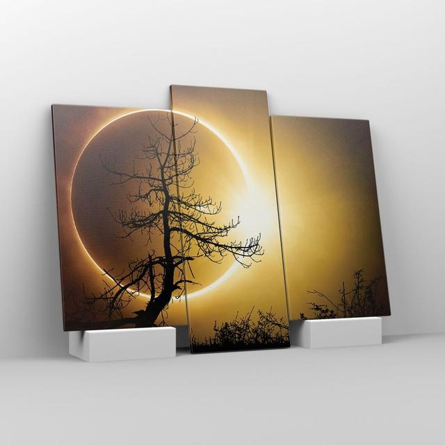 Eclipse The Sun Tree in , 100cm H x 130cm W x 1.8cm D EUArttor Size: 100cm H x 130cm W on Productcaster.