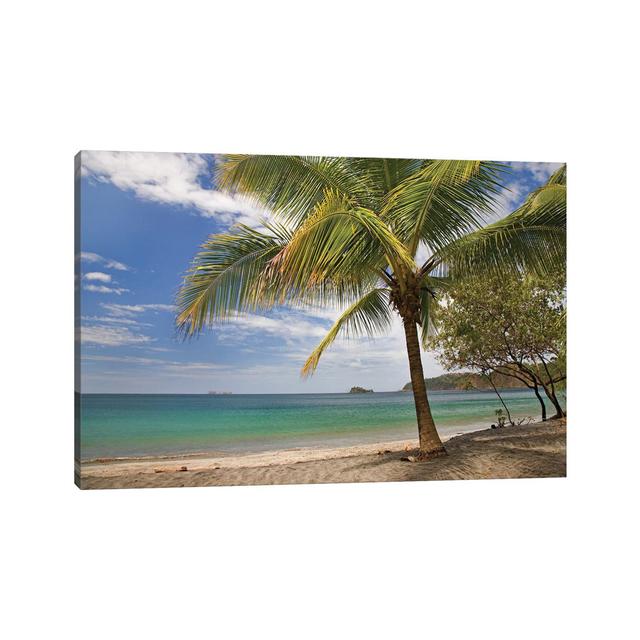 Palm Trees Line Penca Beach, Costa Rica Bay Isle Home Size: 66.04cm H x 101.6cm W x 3.81cm D on Productcaster.