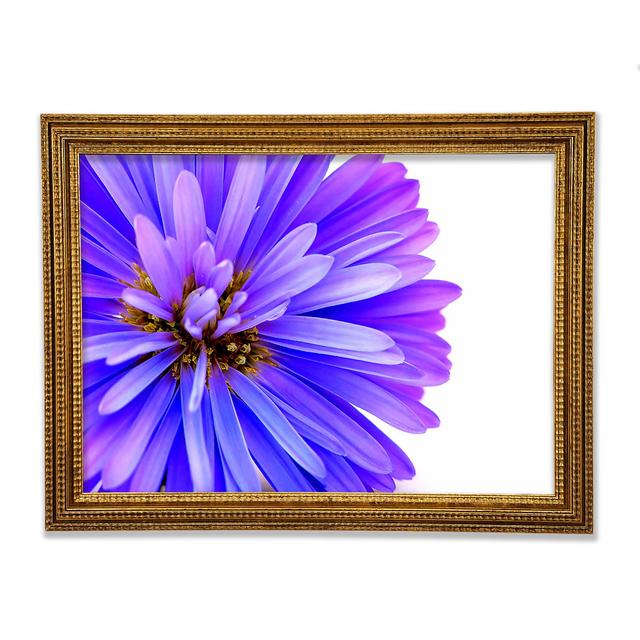 Single Picture Frame Art Prints Ebern Designs Size: 59.1cm H x 84.1cm W on Productcaster.