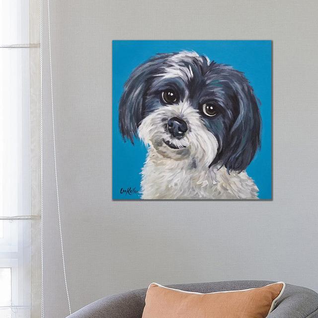 Maltese Shihtzu Mix - Wrapped Canvas Painting ClassicLiving Size: 66.04cm H x 66.04cm W x 1.905cm D on Productcaster.