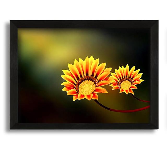 Duo Fire Flowers - Picture Frame Graphic Art on Canvas Brayden Studio Size: 30cm H x 42cm W x 10cm D on Productcaster.