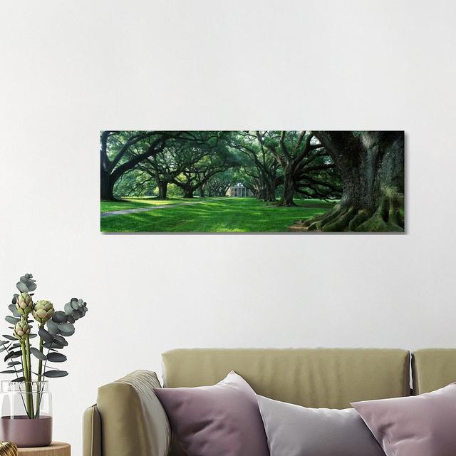 USA, Louisiana, New Orleans, Oak Alley Plantation, Plantation Home Through Alley Of Oak Trees - Wrapped Canvas Panoramic Print Union Rustic Size: 40.6 on Productcaster.