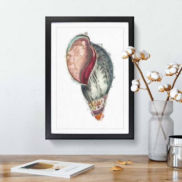 Colourful Seashell by George Shaw - Picture Frame Painting East Urban Home Frame Option: Black Framed, Size: 65cm H x 48cm W x 2cm D on Productcaster.