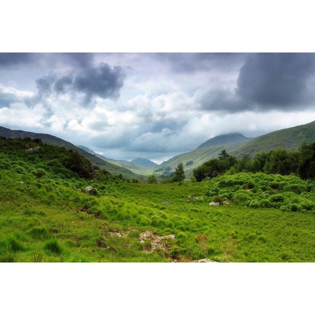 Irish Landscape by Mammuth - Wrapped Canvas Art Prints Alpen Home Size: 61cm H x 91cm W on Productcaster.