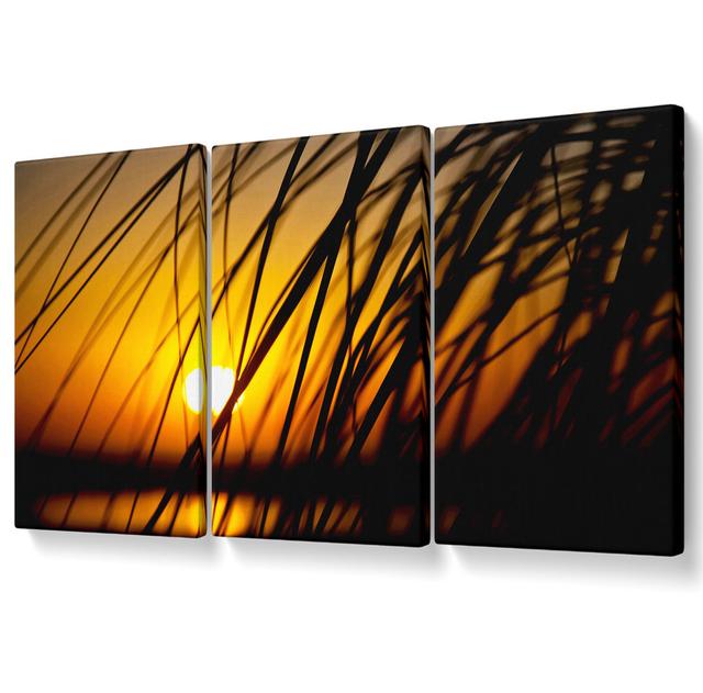 Golden Sun Through the Reeds - 3 Piece Wrapped Canvas Graphic Art Ebern Designs Size: 121.9cm H x 243.8cm W x 10cm D on Productcaster.