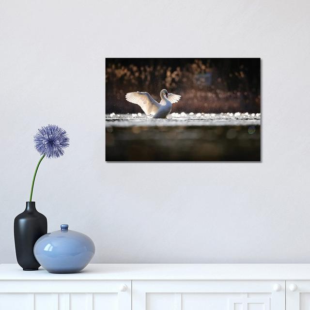 Mute Swan by Mateusz Piesiak - Wrapped Canvas Print Fairmont Park Size: 30.48cm H x 45.72cm W x 1.905cm D on Productcaster.