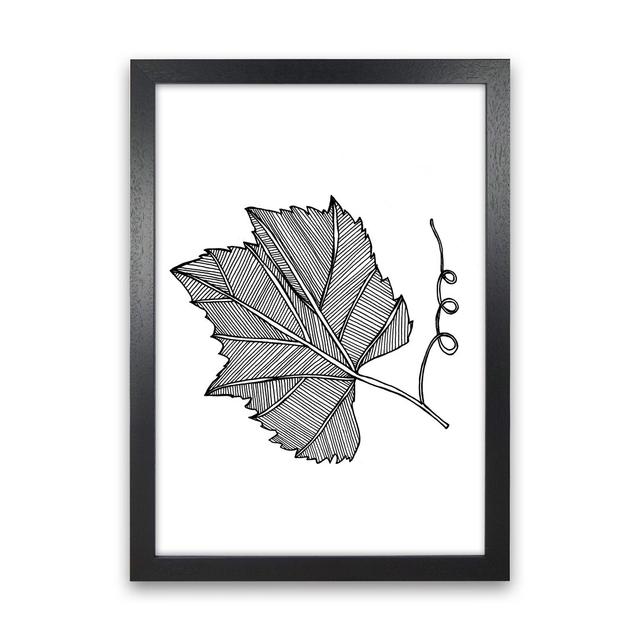 Vine Leaf by Carissa Tanton - Graphic Art Print on Paper Ophelia & Co. Frame Option: Black Framed, Size: 88cm H x 64cm W x 3cm D on Productcaster.