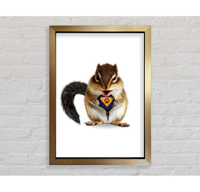 Super Squirrel - Single Picture Frame Art Prints Bright Star Size: 59.7cm H x 42cm W x 3.4cm D on Productcaster.