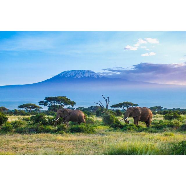 Elephants and Kilimanjaro by Squashedbox - Wrapped Canvas Photograph 17 Stories Size: 20cm H x 30cm W on Productcaster.