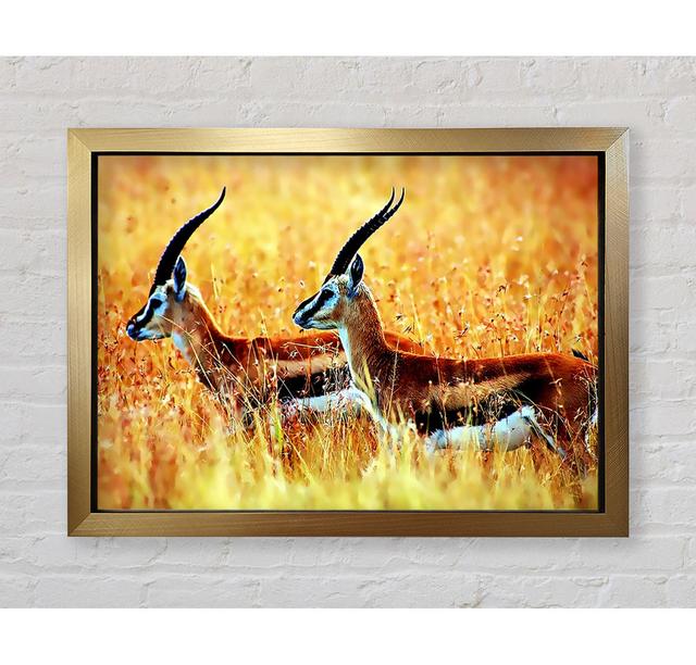 In The Wild - Single Picture Frame Art Prints Bright Star Size: 59.7cm H x 84.1cm W on Productcaster.