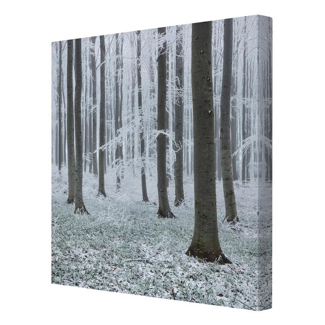 Beech with hoarfrost - Wrapped Canvas Photograph Print Union Rustic Size: 60cm H x 60cm W x 2cm D on Productcaster.