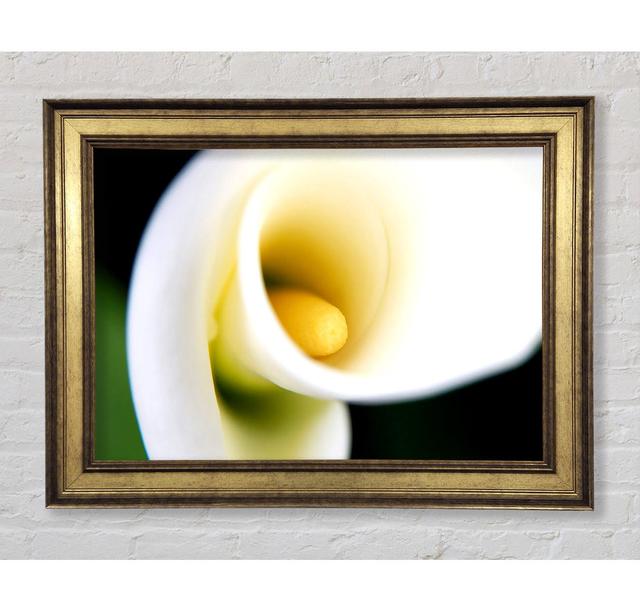 Single Picture Frame Art Prints Bright Star Size: 21cm H x 42cm W on Productcaster.