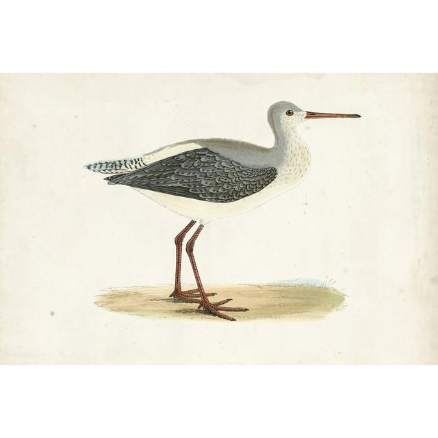 Morris Sandpipers I by Morris - Wrapped Canvas Painting Print Blue Elephant Size: 61cm H x 91cm W on Productcaster.