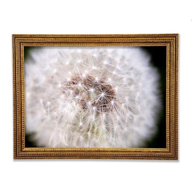 Make A Wish - Print Ebern Designs Size: 42cm H x 59.7cm W x 3cm D on Productcaster.