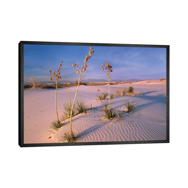 White Sands National Monument, New Mexico II von Tim Fitzharris - Galerie-verpackte Leinwand Giclée auf Leinwand Gracie Oaks Format: Schwarzer Rahmen, on Productcaster.