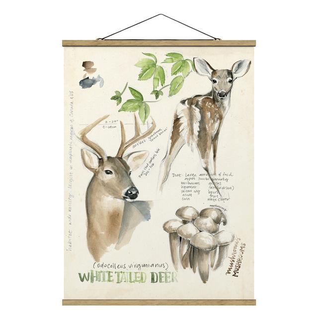 Wilderness Journal - Deer - Graphic Art Print Union Rustic Size: 106.5cm H x 80cm W x 0.3cm D on Productcaster.