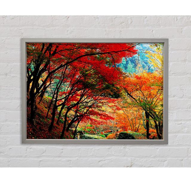 Autumn Tree Delight Framed Print Bright Star Size: 84.1cm H x 118.9cm W x 3.3cm D on Productcaster.