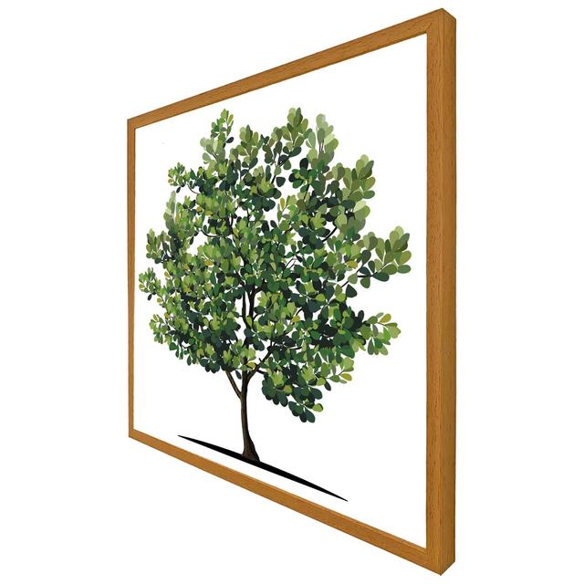 Evaro Tree - Single Picture Frame Print ClassicLiving Size: 51cm H x 51cm W x 4cm D, Frame Option: Oak Framed on Productcaster.