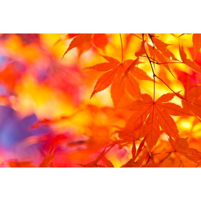 Autumn Leaves - No Frame Print on Canvas 17 Stories Size: 61cm H x 91cm W on Productcaster.