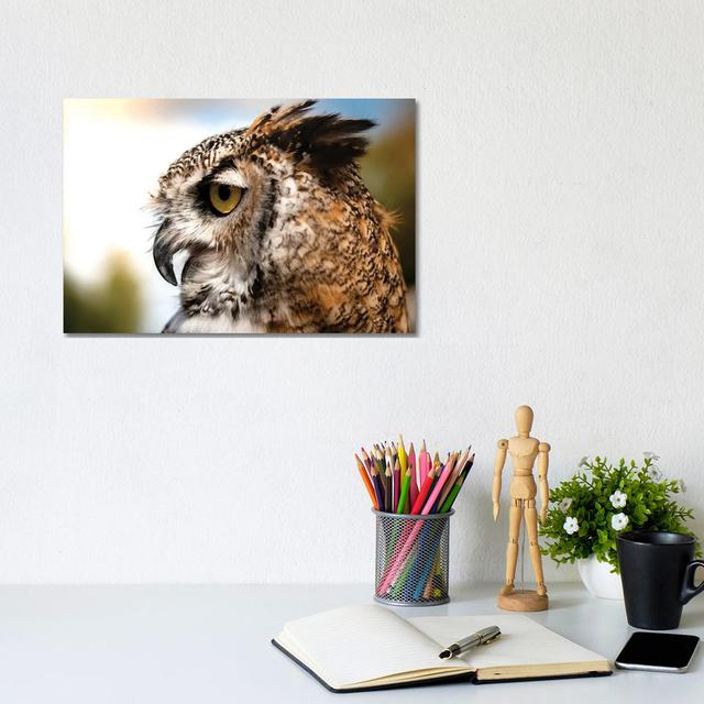 Owl Profile by Nik Rave - Wrapped Canvas Gallery-Wrapped Canvas Giclée Alpen Home Size: 20.32cm H x 30.48cm W x 1.9cm D on Productcaster.