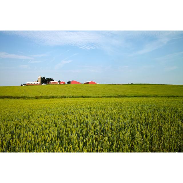 American Farm by JKunnen - Wrapped Canvas Print 17 Stories Size: 20cm H x 30cm W x 3.8cm D on Productcaster.