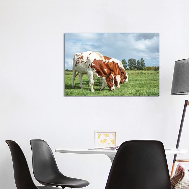 Four Cows On A Row by Clara Bastian - Wrapped Canvas Print August Grove Size: 66.04cm H x 101.6cm W x 1.91cm D on Productcaster.