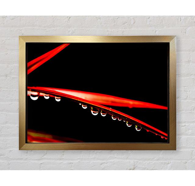 Hanging On - Single Picture Frame Art Prints Ebern Designs Size: 59.7cm H x 84.1cm W on Productcaster.