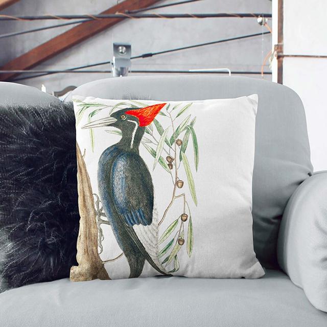 Ivory-Billed Woodpecker by Mark Catesby Cushion with Filling East Urban Home Size: 40cm H x 40cm W x 15cm D, Backing Colour: Stone on Productcaster.