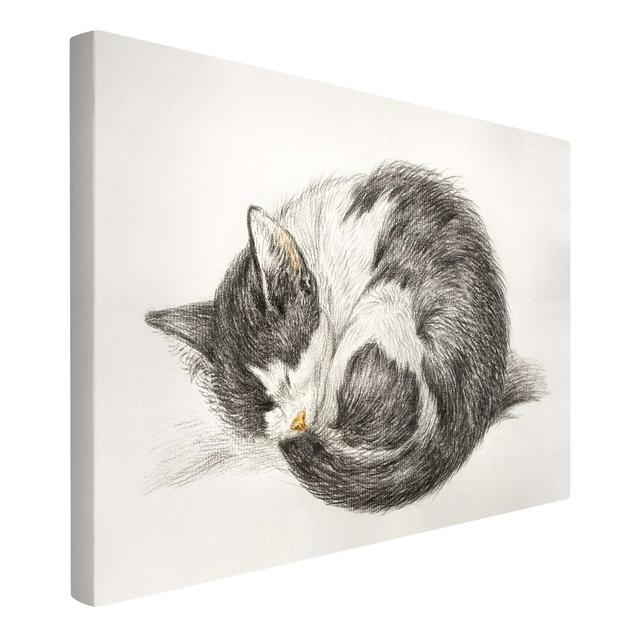 Vintage Cat II - Wrapped Canvas Drawing Rosalind Wheeler Size: 60cm H x 90cm W on Productcaster.