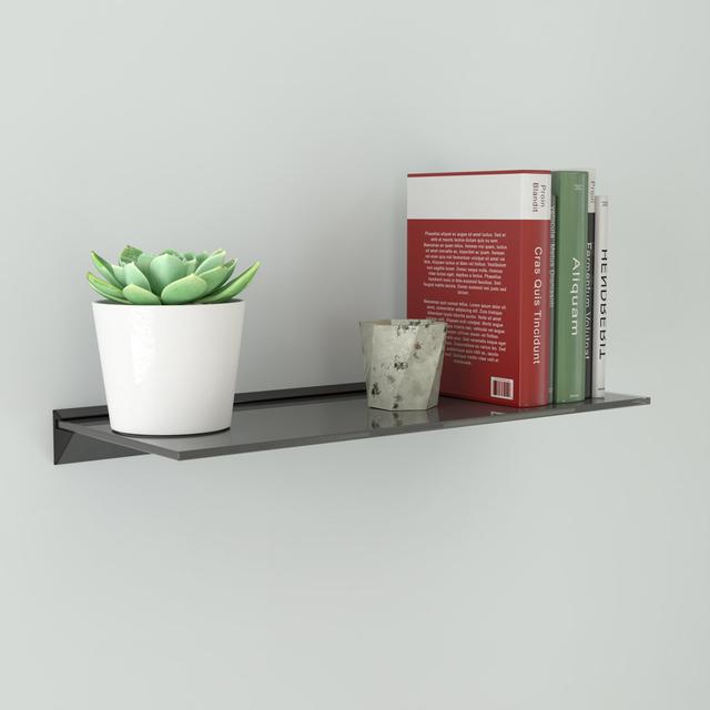 Reeana Metal Wall Mounted Shelving Unit 17 Stories Size: 5.5cm H x 60cm W x 25cm D on Productcaster.