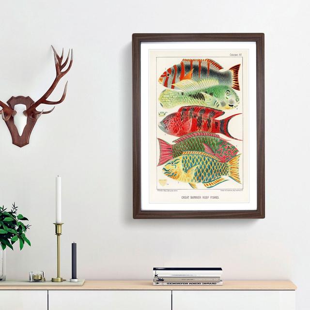 Great Barrier Reef Fishes by W. Saville-Kent - Picture Frame Painting Print East Urban Home Size: 65cm H x 48cm W x 2cm D, Frame Option: Walnut Framed on Productcaster.