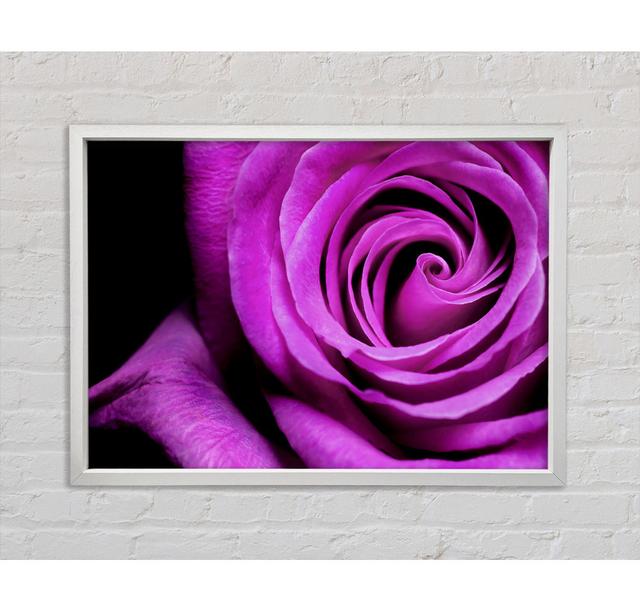 Purple Velvet Rose - Single Picture Frame Art Prints on Canvas Bright Star Size: 84.1cm H x 118.9cm W on Productcaster.