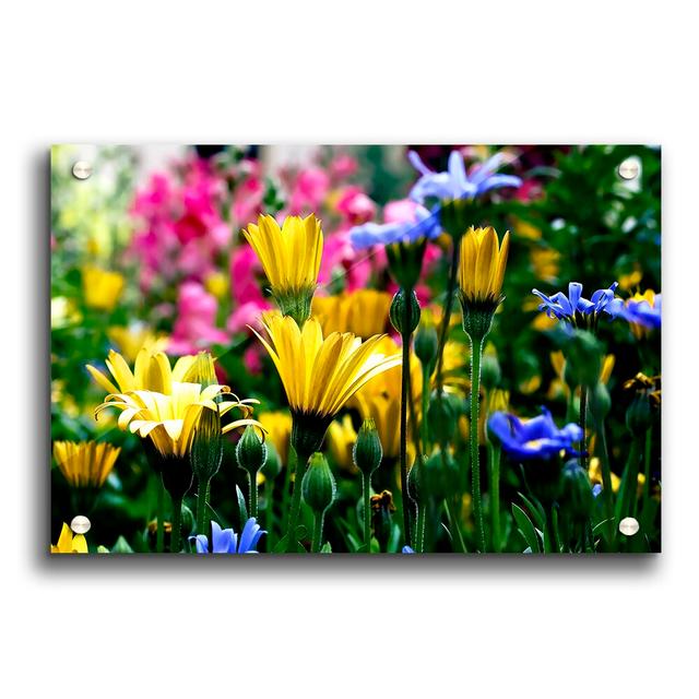 Vail in Coloured Flowers - Unframed Photograph Print on Acrylic East Urban Home Size: 84.1cm H x 118.9cm W on Productcaster.