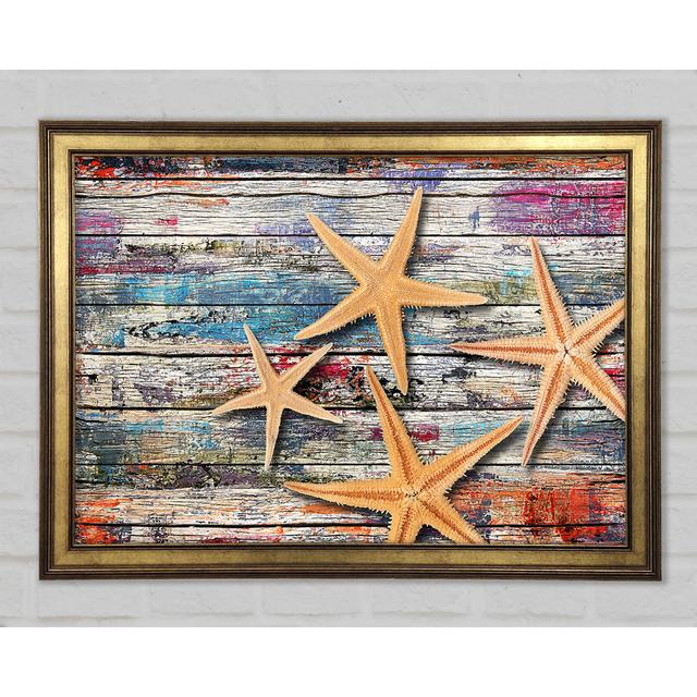 Starfish Boardwalk Framed Print Highland Dunes Size: 84.1cm H x 118.9cm W x 1.5cm D on Productcaster.