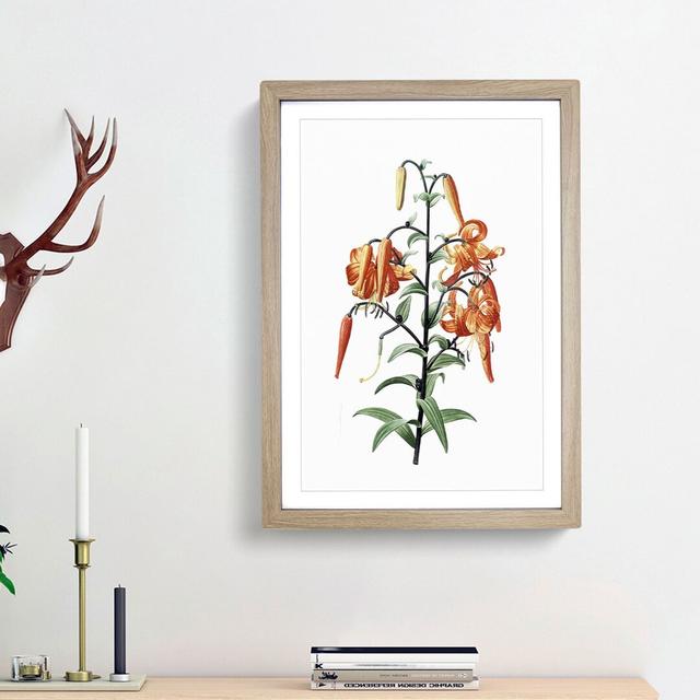 Tiger Lily Flowers by Pierre-Joseph Redoute - Picture Frame Painting Print on MDF East Urban Home Frame Option: Oak Framed, Size: 36cm H x 27cm W x 2c on Productcaster.