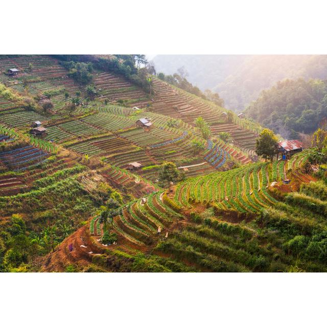 Bayton Tea Plantation In Thailand - Wrapped Canvas Photograph Latitude Run Size: 51cm H x 76cm W x 3.8cm D on Productcaster.