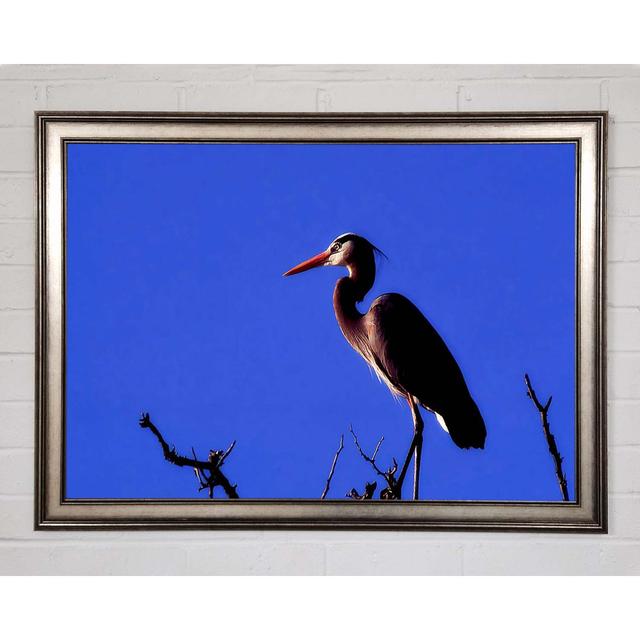 Heron Watch Framed Print House of Hampton Format: Gunmetal Framed Paper, Size: 42cm H x 59.7cm W x 1.5cm D on Productcaster.