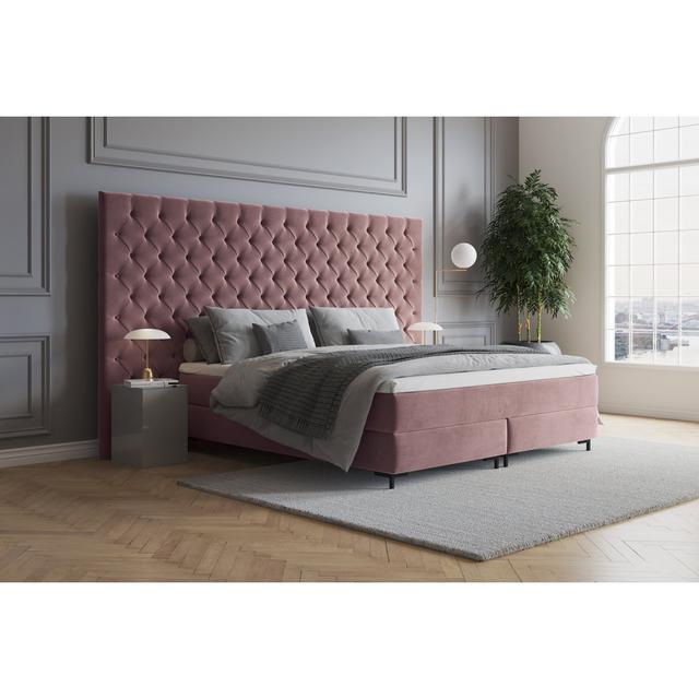 Echtes Boxspringbett Ajala mit Premium Visco Topper, mit Samtstoff bezogen Canora Grey Farbe: Rosa, Matratzenhärte: H2 - bis etwa 75 kg, Größe: 160 x on Productcaster.