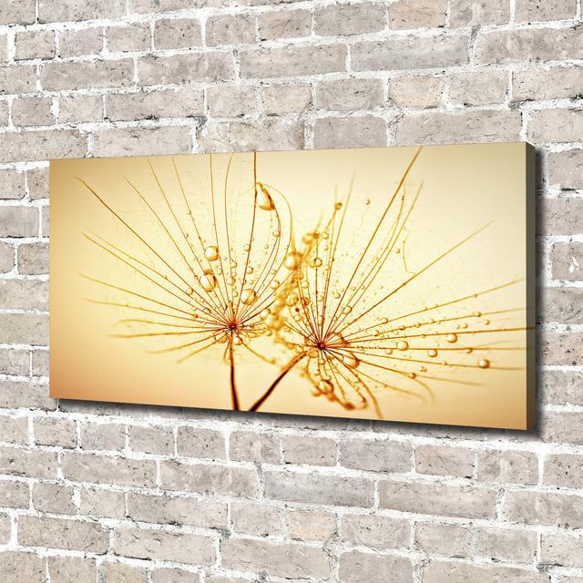 Dandelion Seeds - Wrapped Canvas Art Prints Ebern Designs on Productcaster.