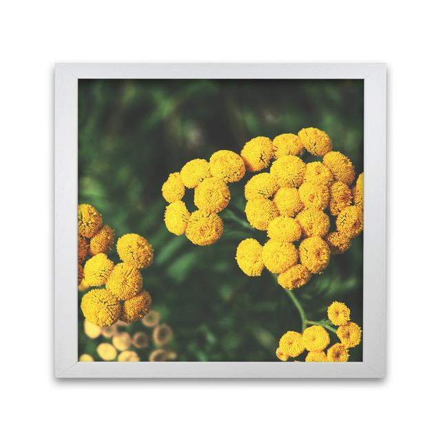 Infinite Blossom by Nur Mut - Single Picture Frame Print Alpen Home Format: White, Size: 40 cm H x 40 cm W on Productcaster.