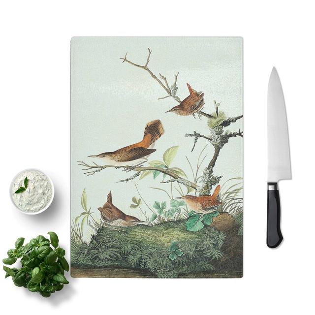 Tempered Glass Wrens by John James Audubon Chopping Board East Urban Home Size: 20 cm W x 28.5 cm L on Productcaster.