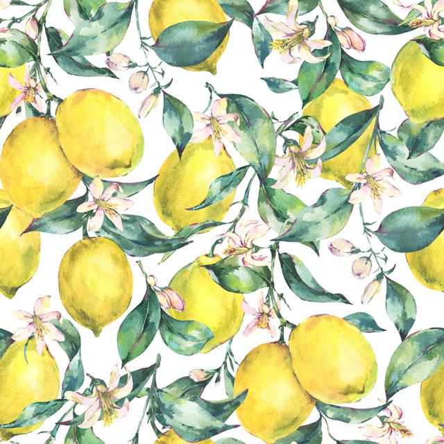 Vermontville Branch Of Fruit Lemon by Varvara Kurakina - Print ClassicLiving Size: 76cm H x 76cm W x 3.8cm D on Productcaster.