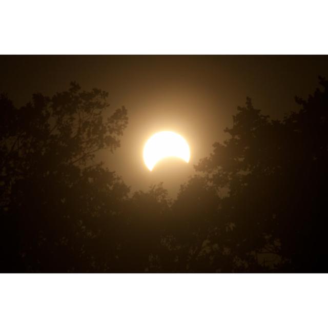 Solar Eclipse With Trees by BanksPhotos - No Frame Art Prints on Canvas Alpen Home Size: 81cm H x 122cm W on Productcaster.