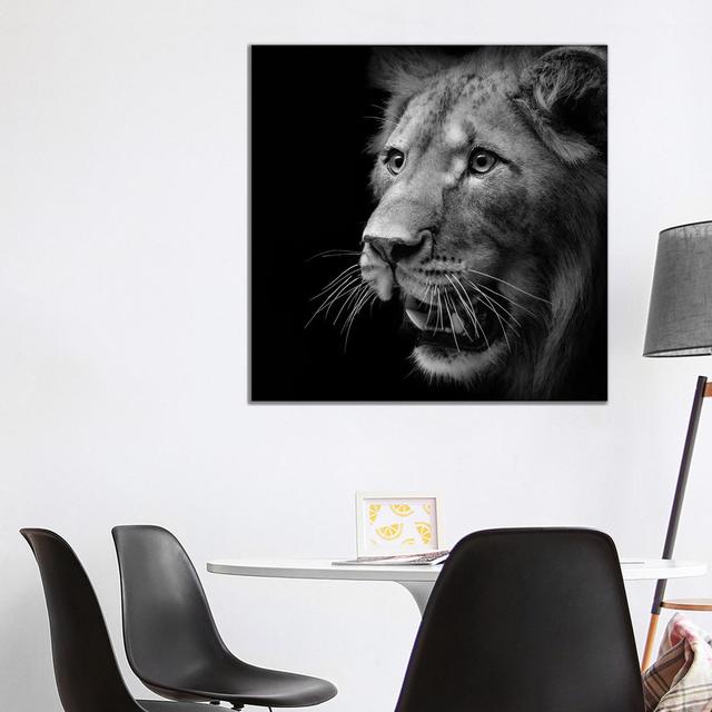 Lion In Black And White III by Lukas Holas - Wrapped Canvas Print Latitude Run Size: 93.98cm H x 93.98cm W x 1.905cm D on Productcaster.