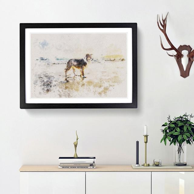 Border Collie Dog at the Beach - Picture Frame Graphic Art Print East Urban Home Frame Option: Black Framed, Size: 62cm H x 87cm W x 2cm D on Productcaster.